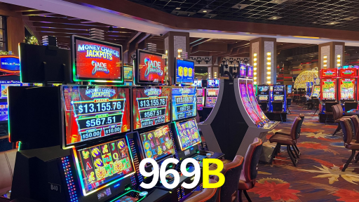 Premium Interface 969B